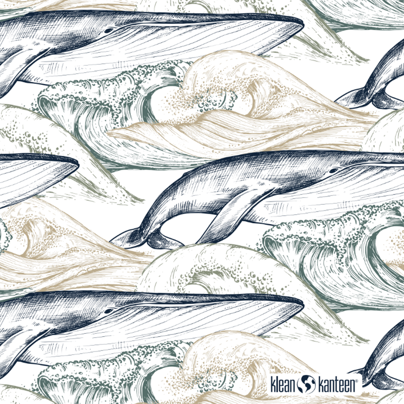 20oz-tkwide-with-twist-cap-ocean-day-z1 20oz_tkwide_bottle_seasonal_ocean_day_whale_artwork_square.png
