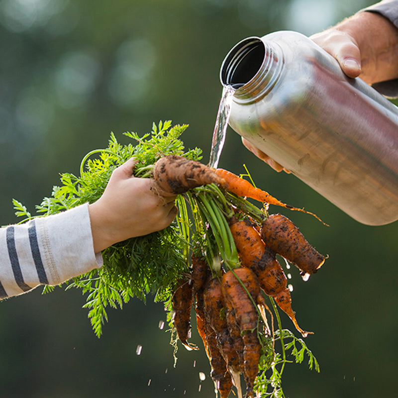 64oz-wide-with-loop-cap-d3 64oz_wide_mouth_bottle_carrots_rinse_square.jpg